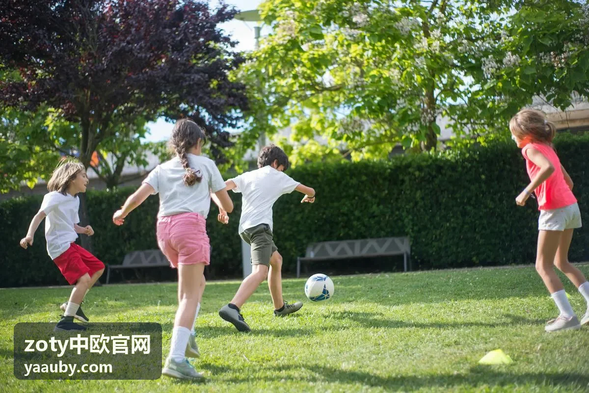 zoty中欧官网跨境税务合规手册封面