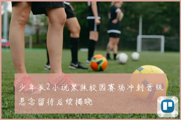 少年派2小说聚焦校园赛场冲刺晋级悬念留待后续揭晓