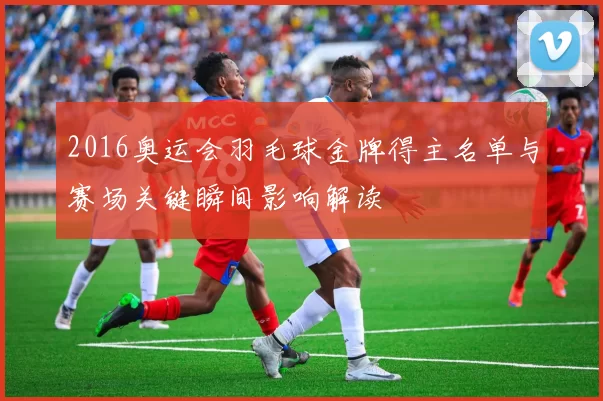 2016奥运会羽毛球金牌得主名单与赛场关键瞬间影响解读