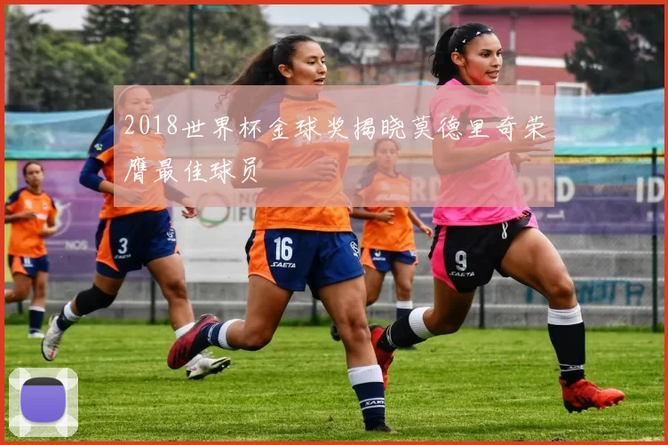 2018世界杯金球奖揭晓莫德里奇荣膺最佳球员