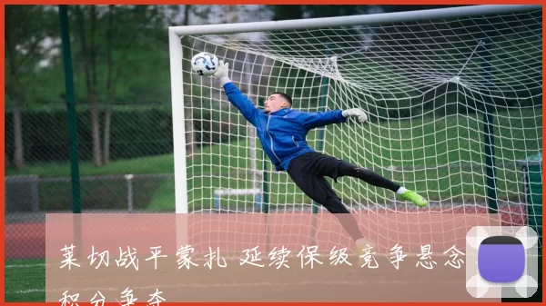 莱切战平蒙扎 延续保级竞争悬念与积分争夺