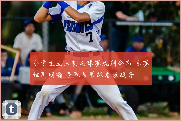 小学生五人制足球赛规则公布 竞赛细则明确 争冠与晋级看点提升